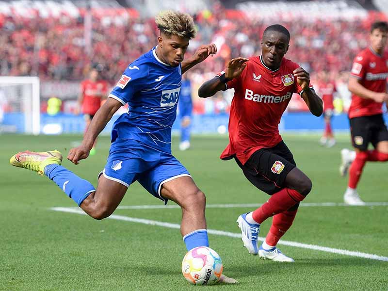 Nhận định soi kèo Leverkusen vs Hoffenheim lúc 21h00 ngày 30/3/2024